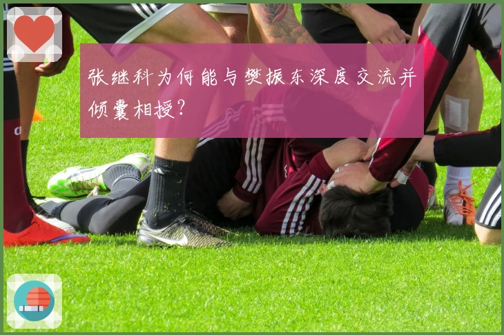 张继科为何能与樊振东深度交流并倾囊相授？