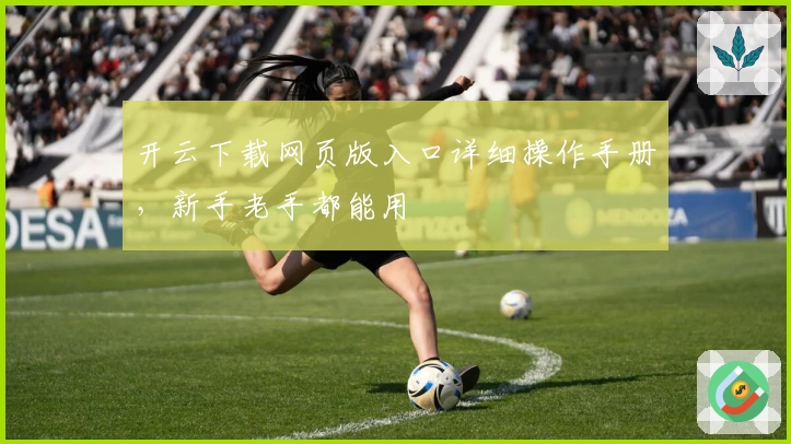 开云下载网页版入口详细操作手册，新手老手都能用