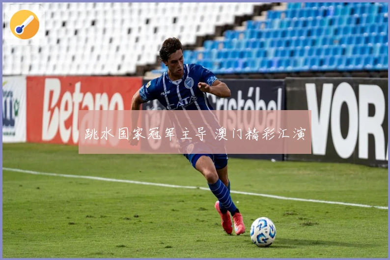 跳水国家冠军主导 澳门精彩汇演