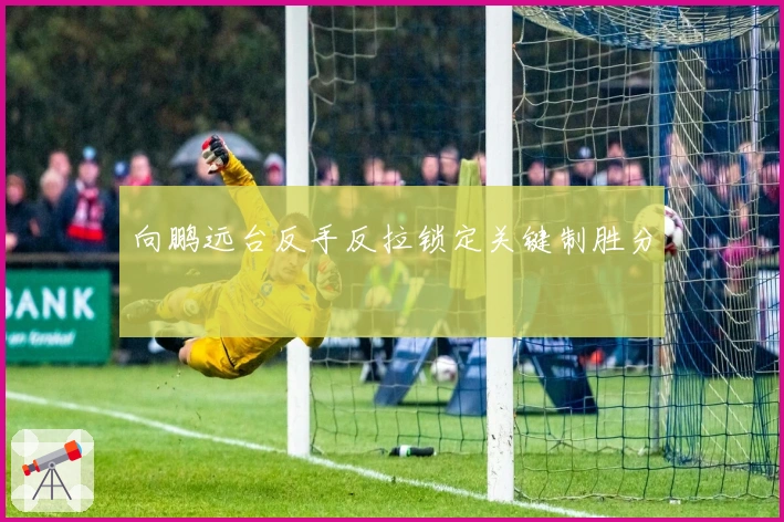 向鹏远台反手反拉锁定关键制胜分