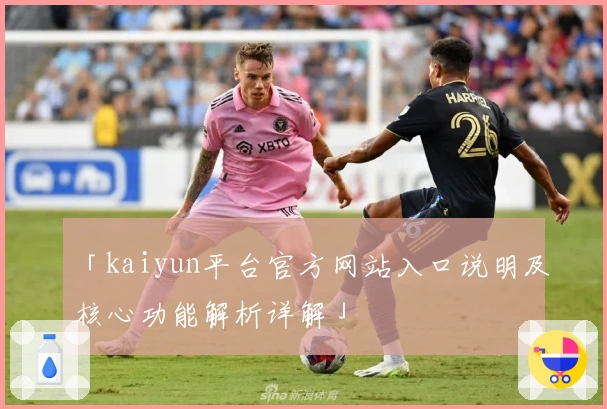 「kaiyun平台官方网站入口说明及核心功能解析详解」