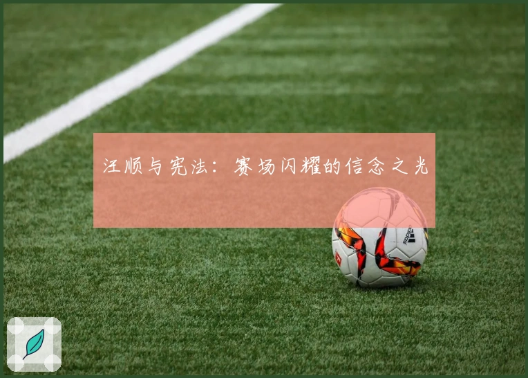 汪顺与宪法：赛场闪耀的信念之光