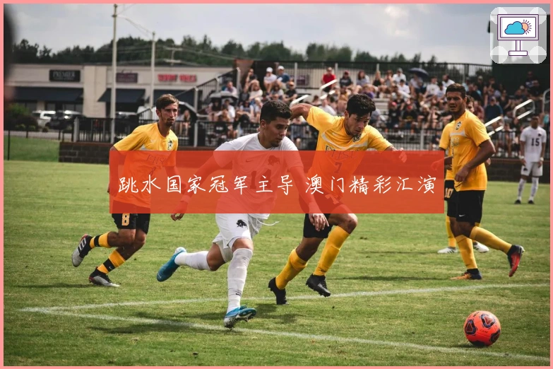 跳水国家冠军主导 澳门精彩汇演