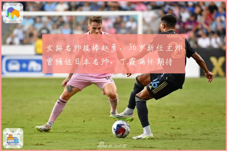 女排名帅接棒赵勇，36岁新任主帅曾辅佐日本名帅，丁霞满怀期待